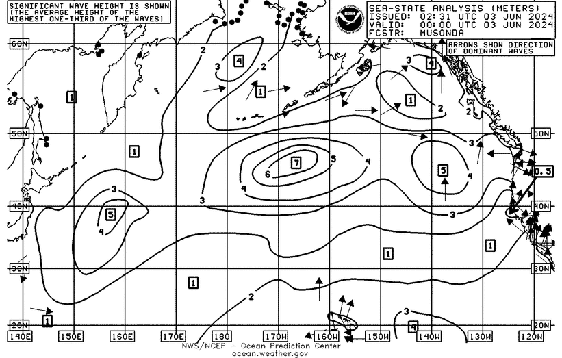 Image of Pacific Sea State Analysis