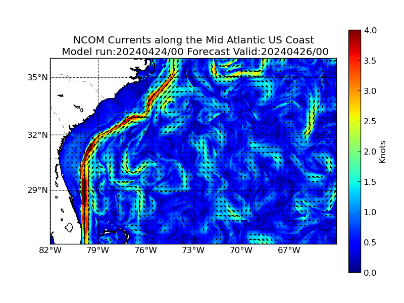 NCOM 48 Hour Currents image (kt)