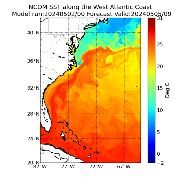 NCOM 81 Hour Sea Surface Temperature image (C)