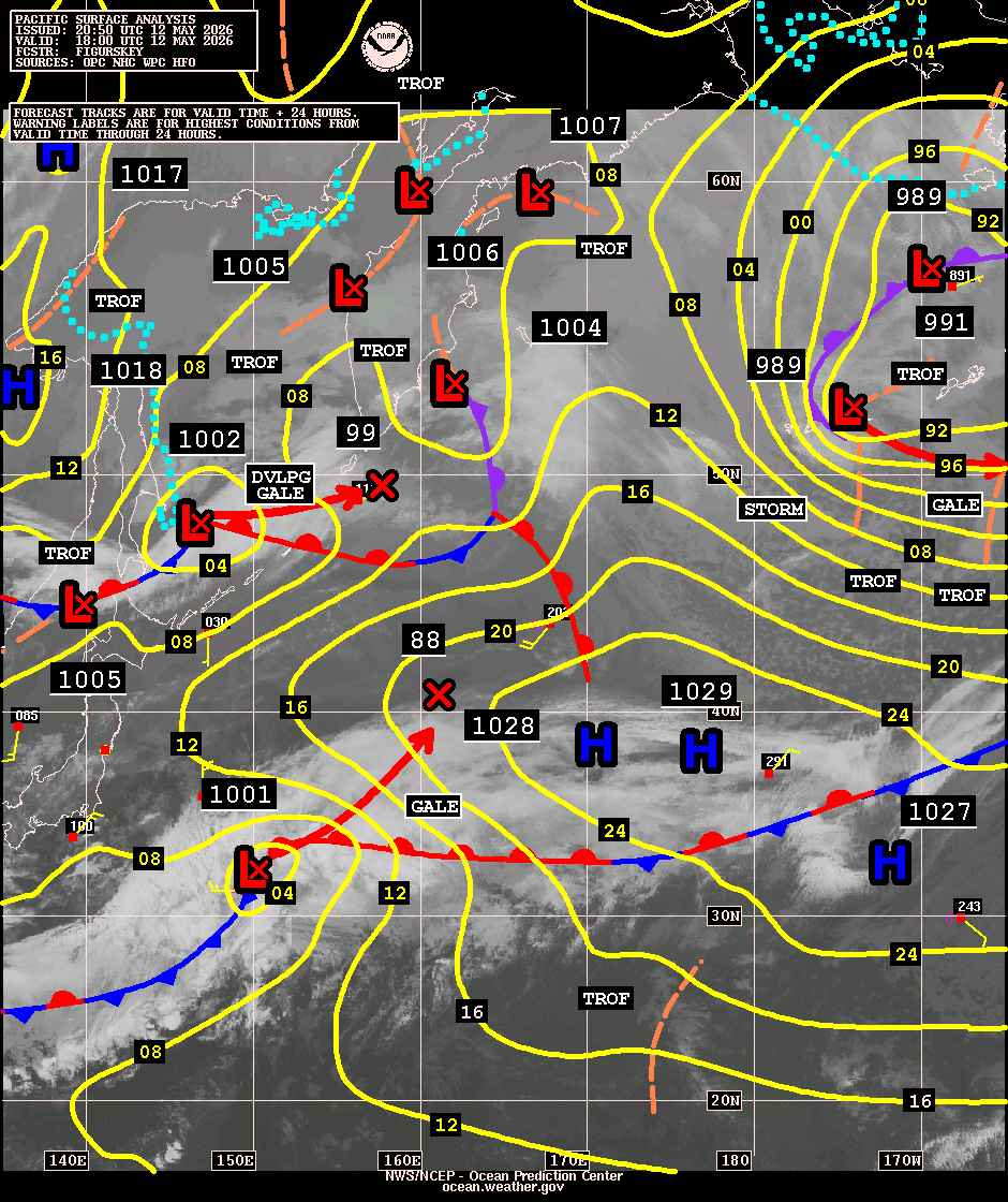 West Pacific Surface Analysis with Satellite Imagery